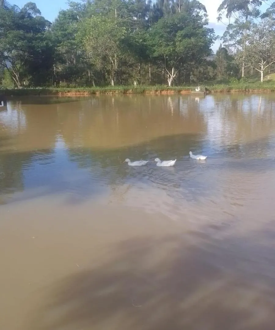 Casinha Do Pomar Vila Rio Forcação Brasil
